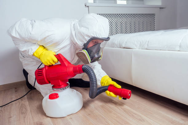 Real Estate Pest Inspections in Iselin, NJ